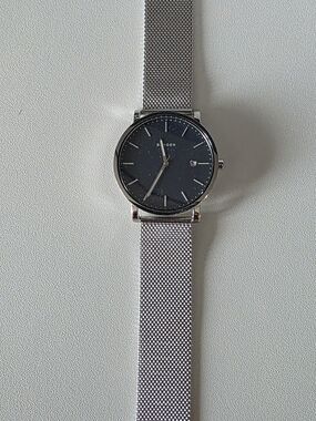 Skagen Silver Mesh Band Watch with Black Dial